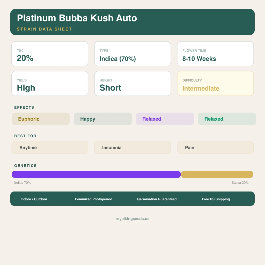 Platinum Bubba Kush 70% indica / 20% sativa — fleur avec trichomes visibles