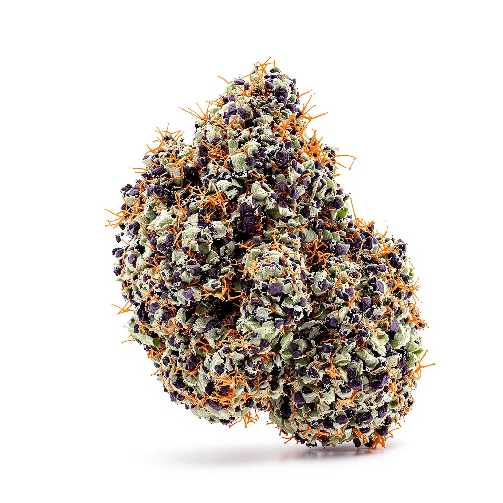 Pluto Kush 88% indica / 12% sativa — fleur avec trichomes visibles