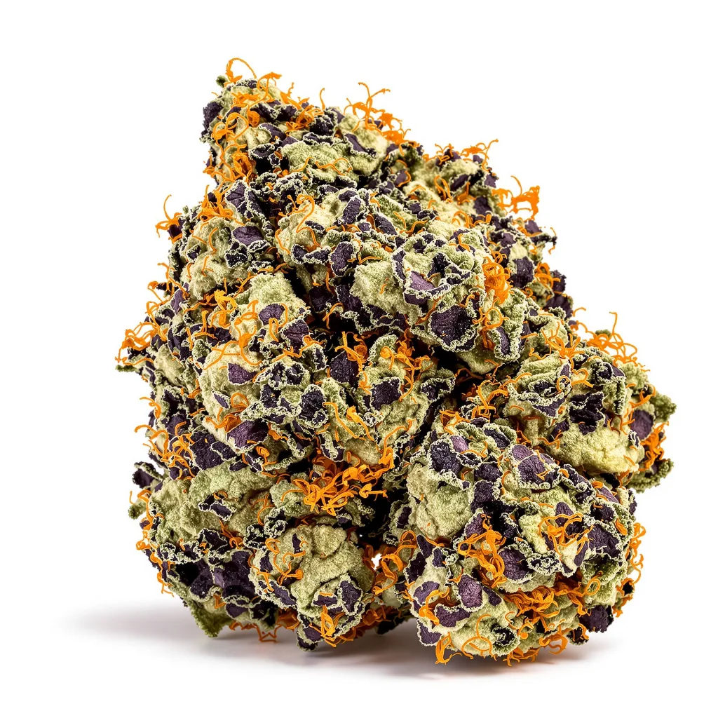 Pluto Kush 88% indica / 12% sativa — fleur avec trichomes visibles