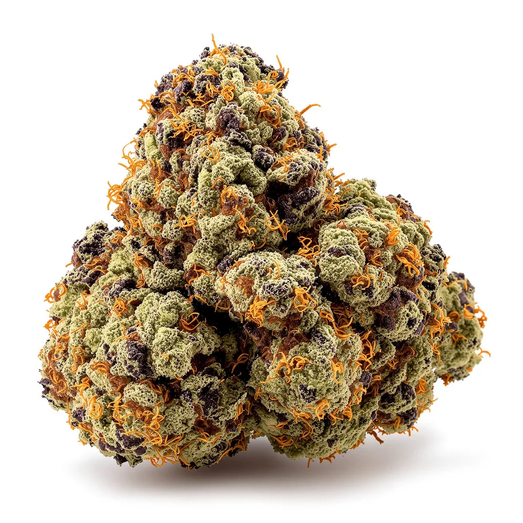 Pokie 67% indica / 33% sativa — fleur avec trichomes visibles