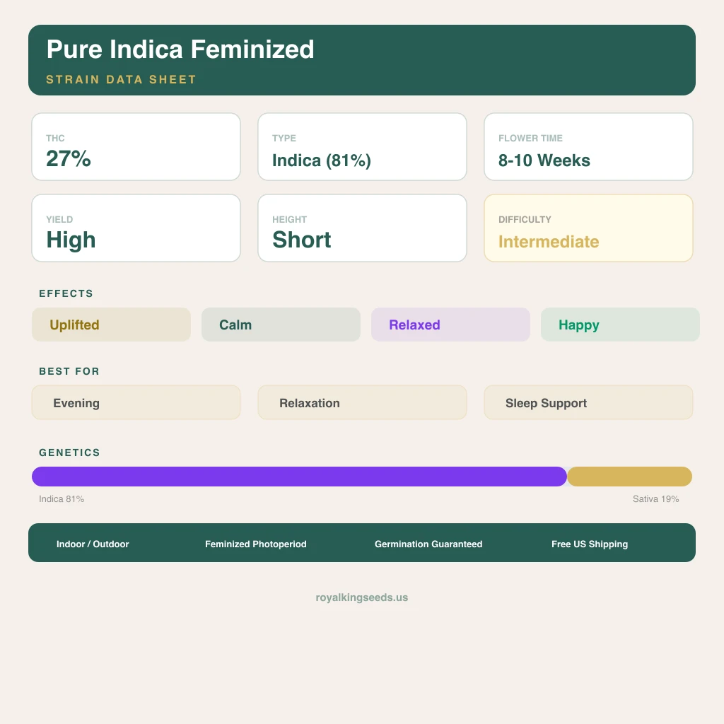 Pure Indica 81% indica / 19% sativa — fleur avec trichomes visibles