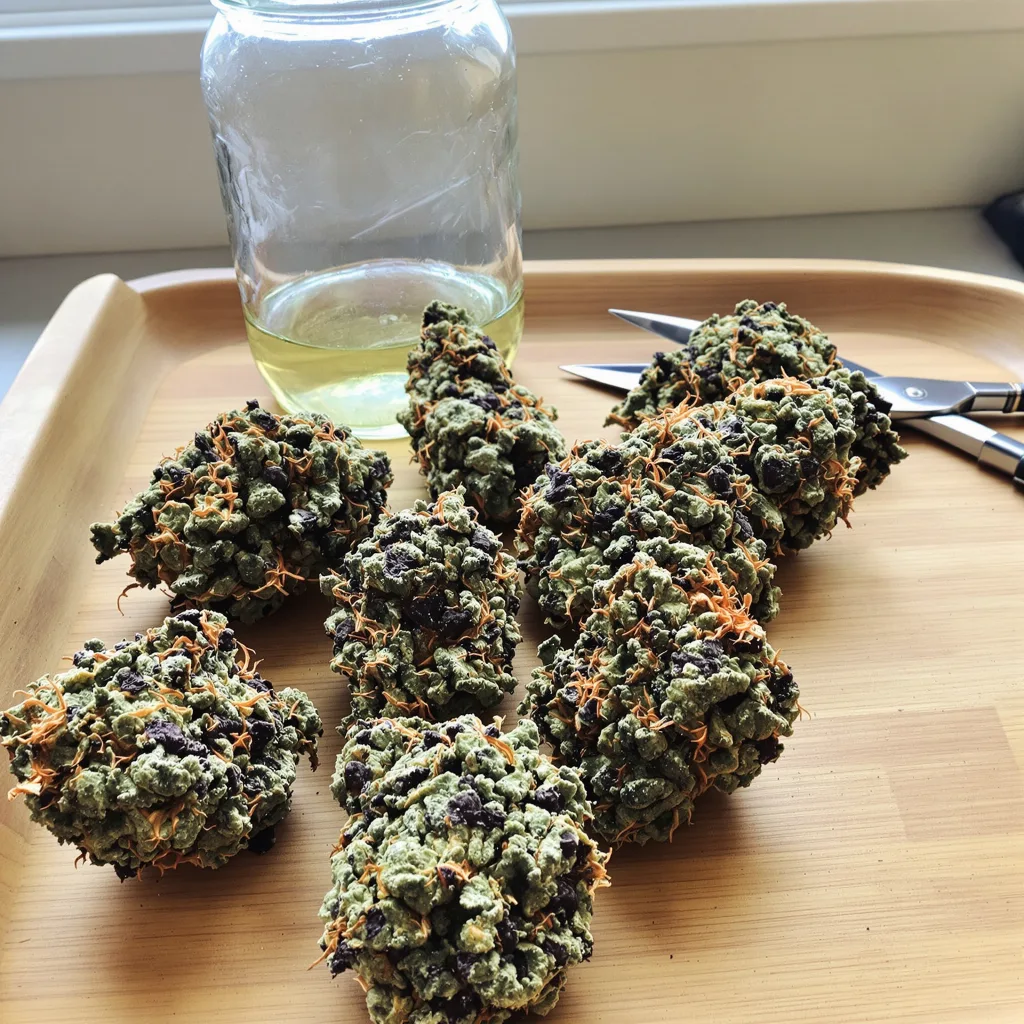 Pure OG 86% indica / 14% sativa — fleur avec trichomes visibles