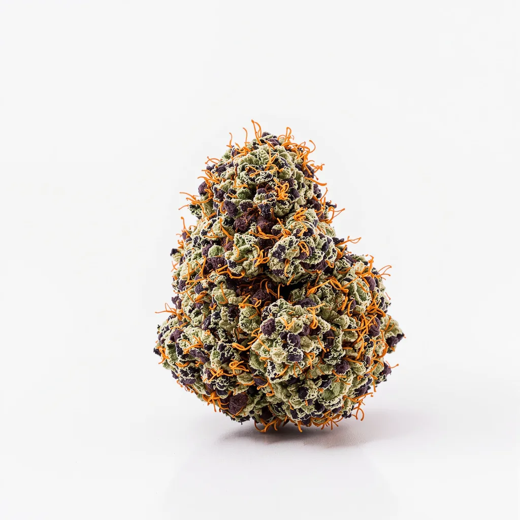 Purple Afghani 84% indica / 16% sativa — fleur avec trichomes visibles