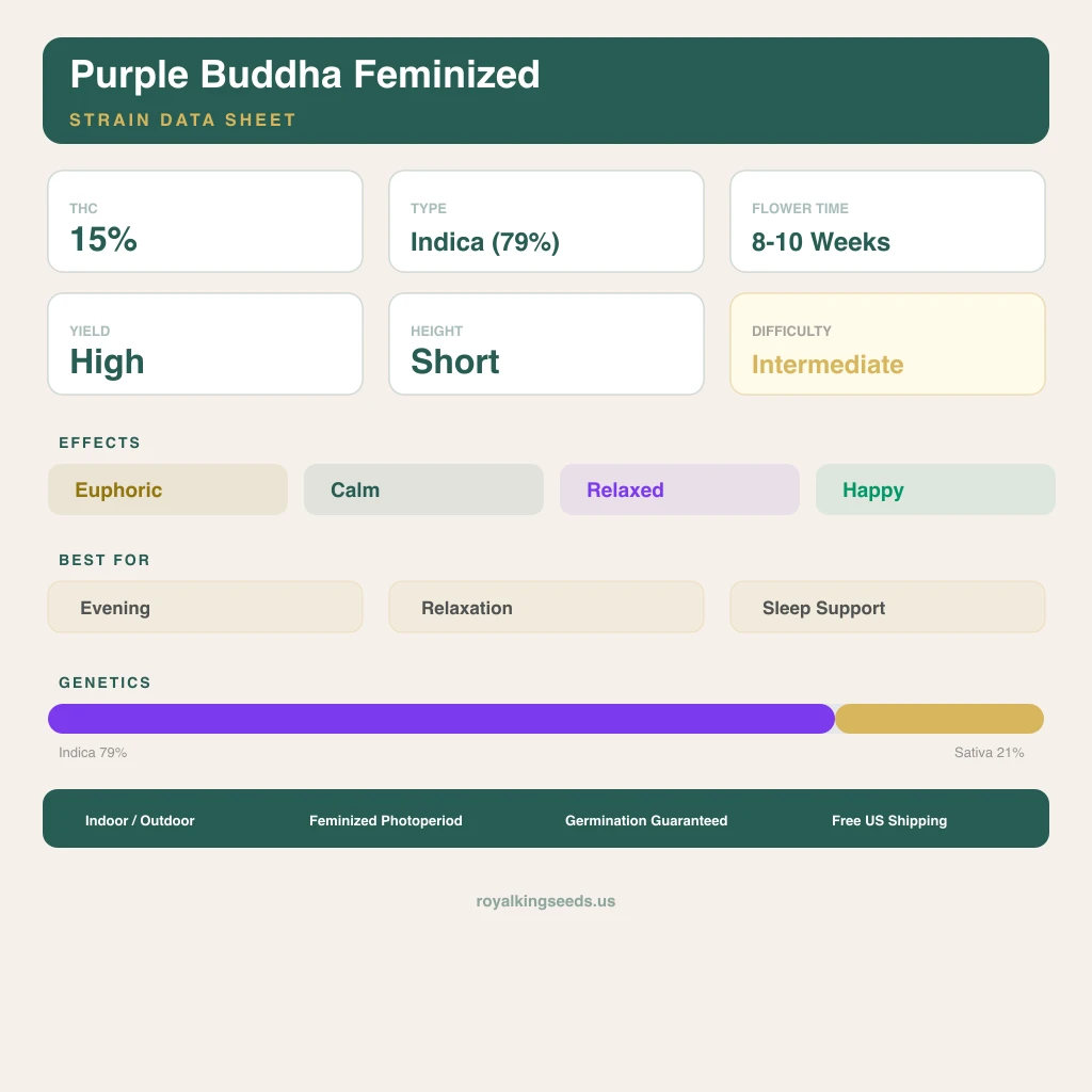 Purple Buddha 79% indica / 21% sativa — fleur avec trichomes visibles