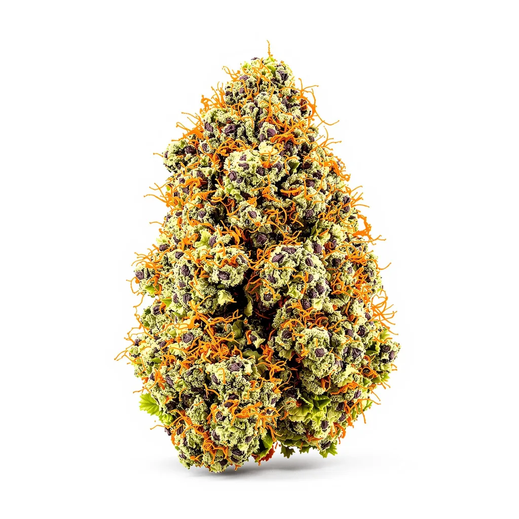 Purple Chemdawg 71% indica / 29% sativa — fleur avec trichomes visibles