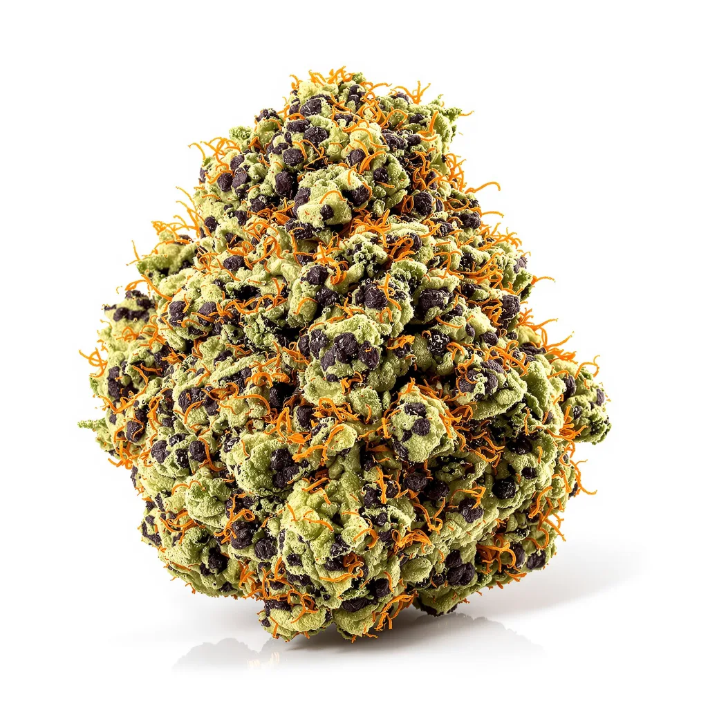 Purple Cotton Candy 79% indica / 21% sativa — fleur avec trichomes visibles