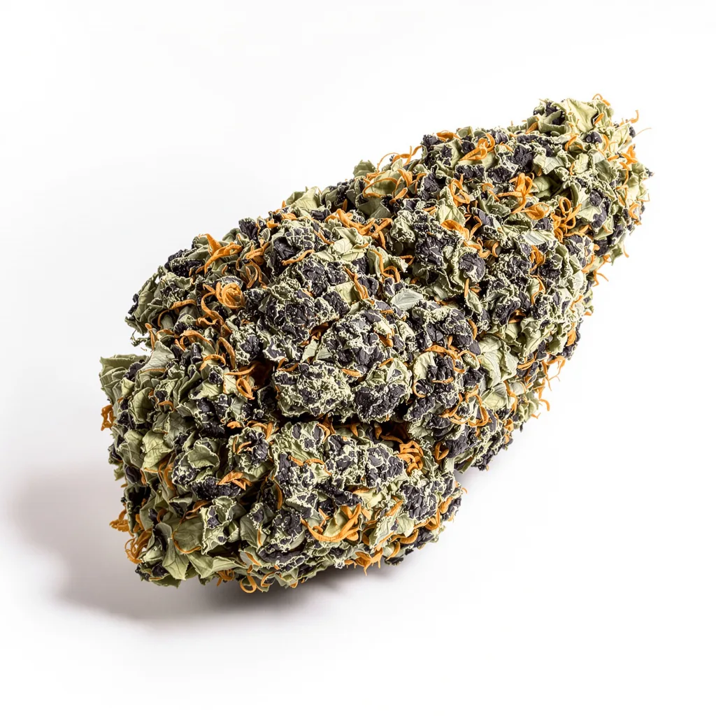 Purple Dragon 66% indica / 34% sativa — fleur avec trichomes visibles
