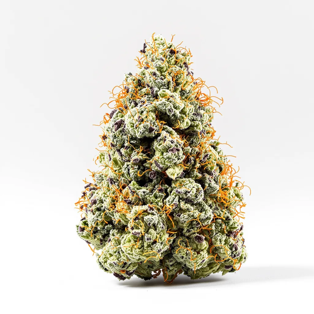 Purple Gorilla 46% indica / 54% sativa — fleur avec trichomes visibles