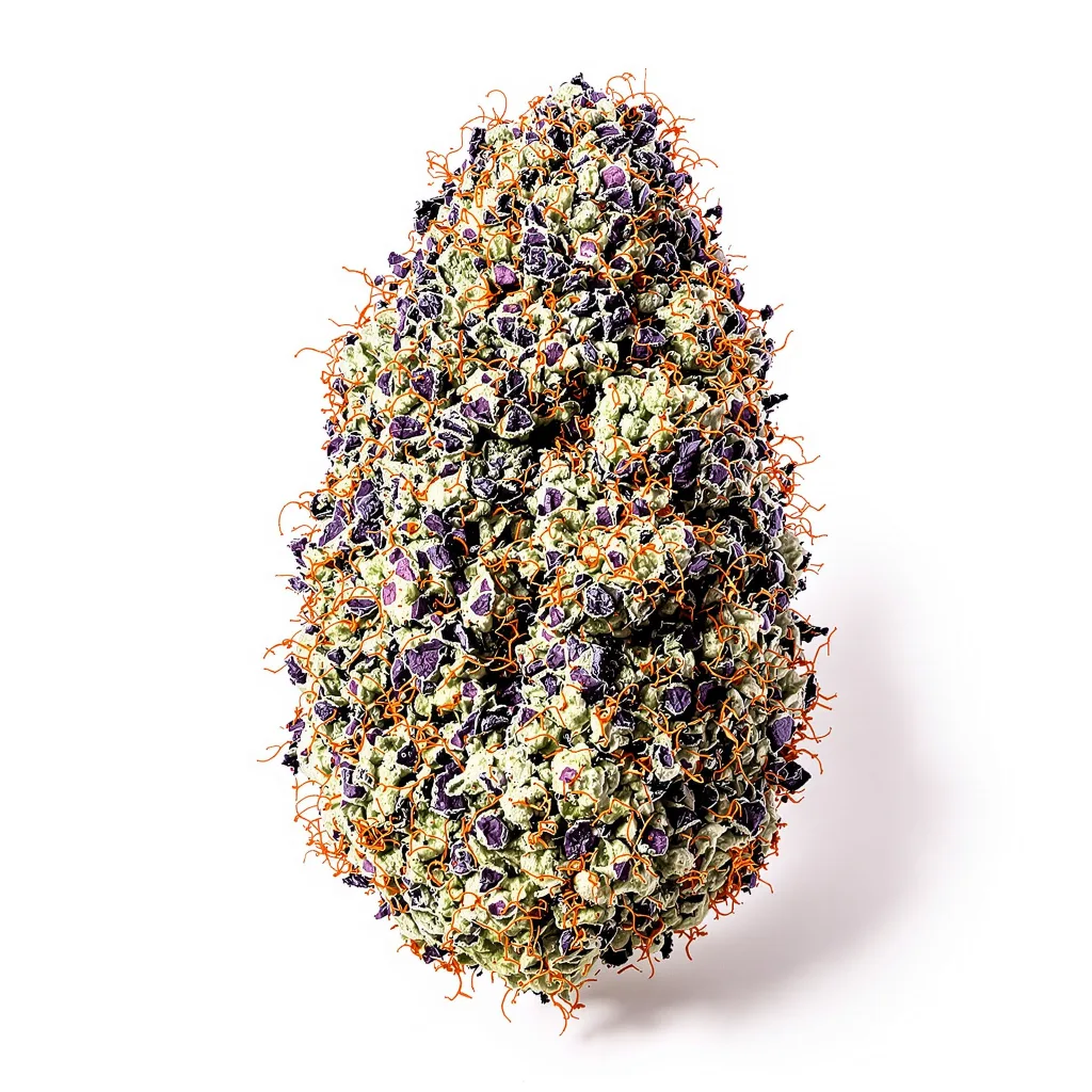 Purple Monkey Balls 68% indica / 32% sativa — fleur avec trichomes visibles