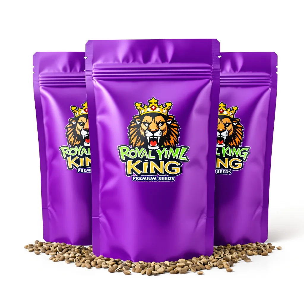 Purple Nepal Candy 39% indica / 61% sativa — fleur avec trichomes visibles