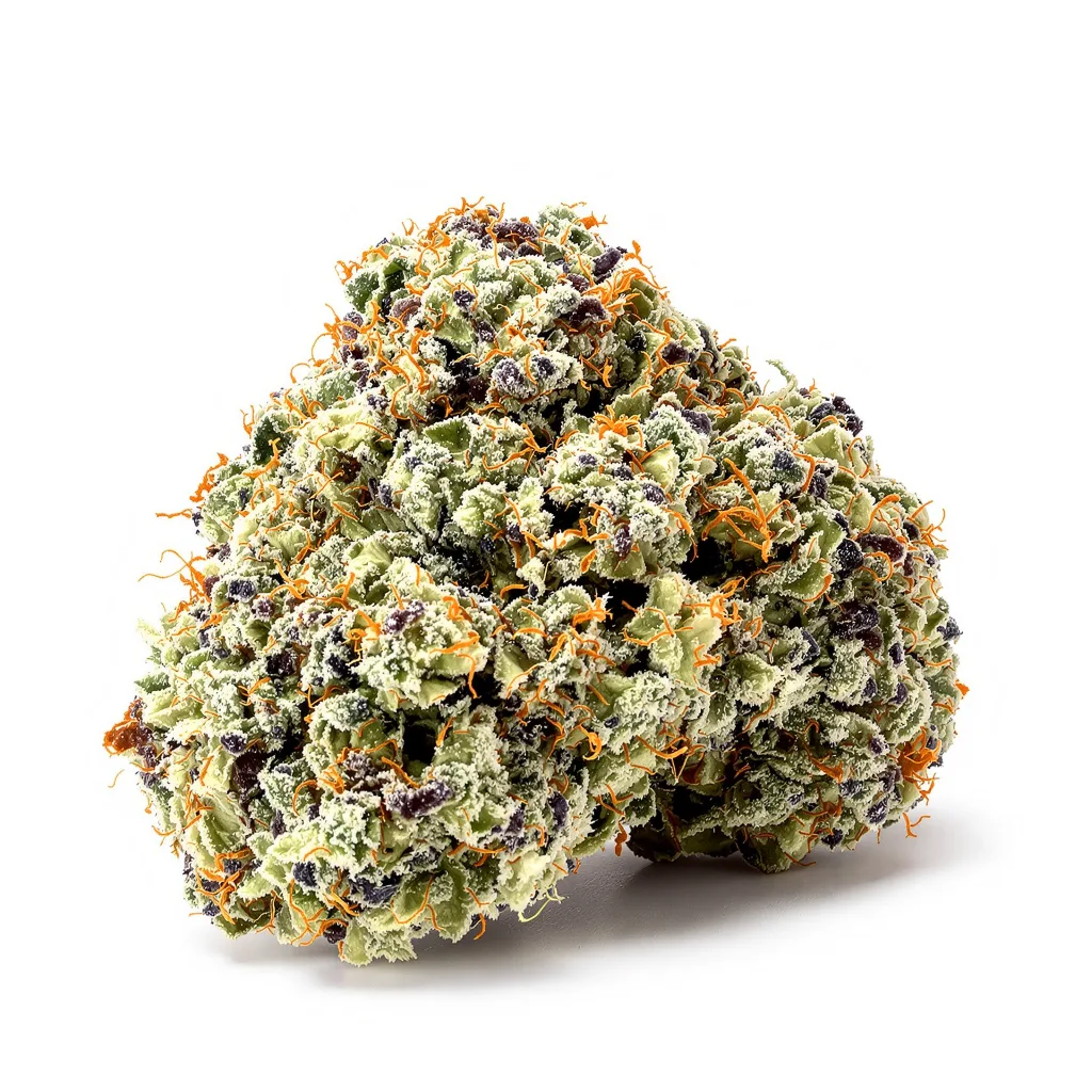 Purple Pantera 63% indica / 37% sativa — fleur avec trichomes visibles