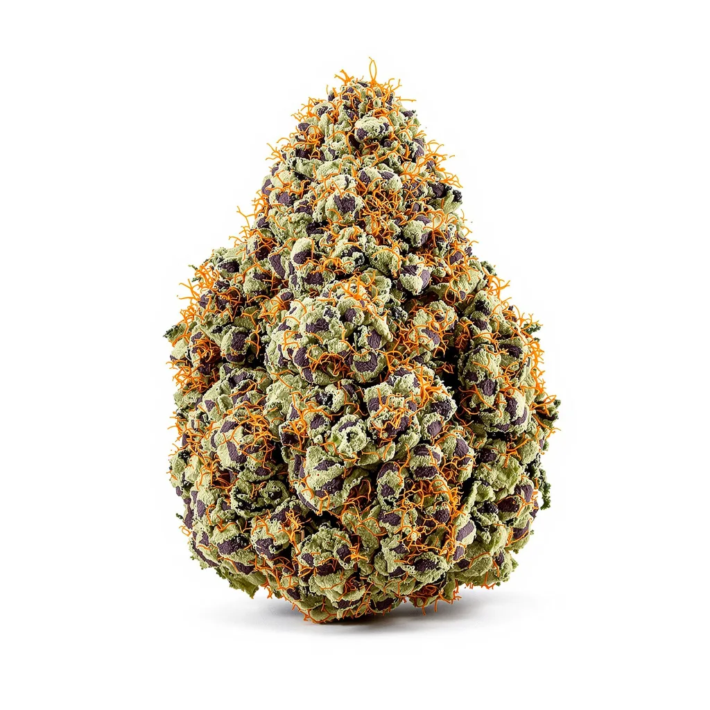 Purple Panty Dropper 78% indica / 22% sativa — fleur avec trichomes visibles