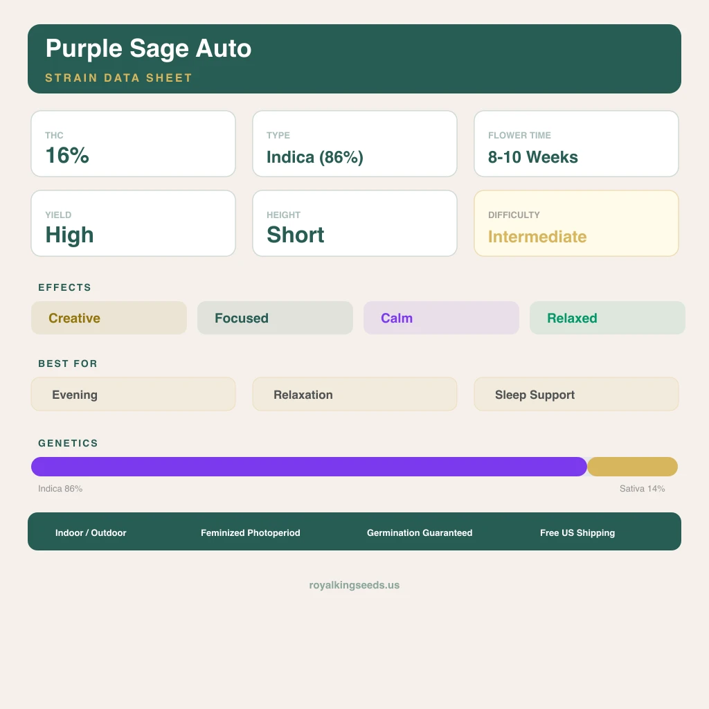 Purple Sage 86% indica / 14% sativa — fleur avec trichomes visibles