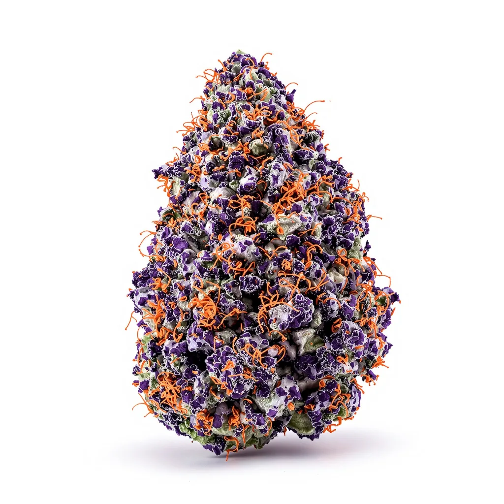 Purple Sage 86% indica / 14% sativa — fleur avec trichomes visibles