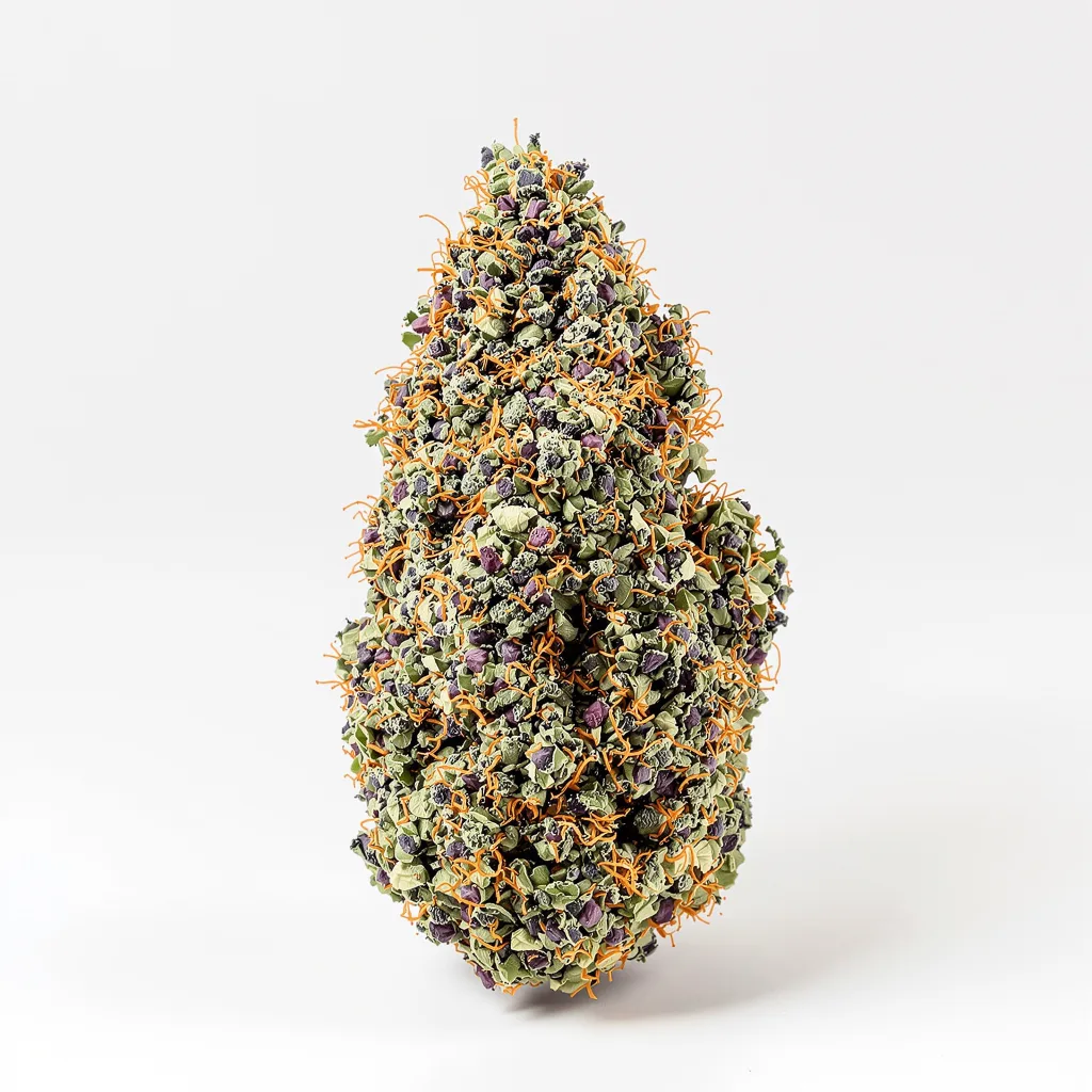 Purple Star 68% indica / 32% sativa — fleur avec trichomes visibles