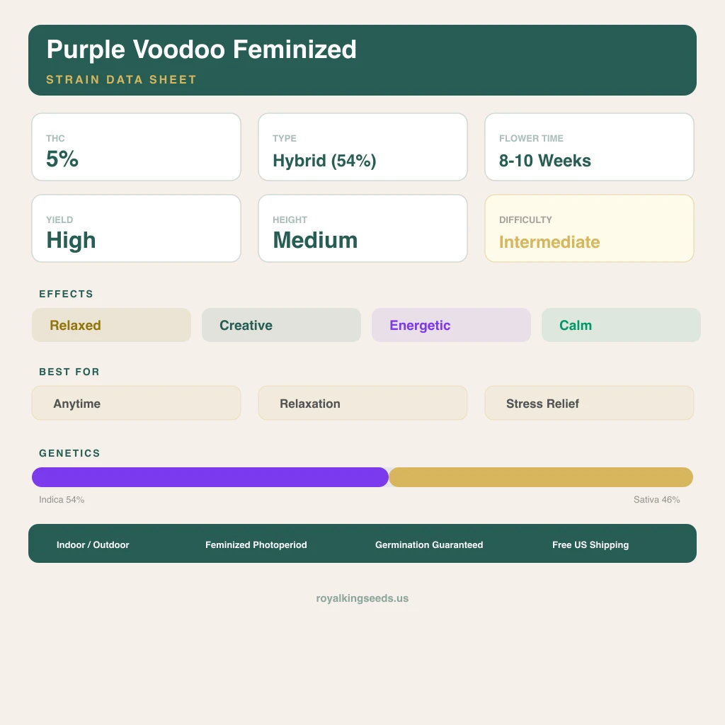 Purple Voodoo 54% indica / 46% sativa — fleur avec trichomes visibles