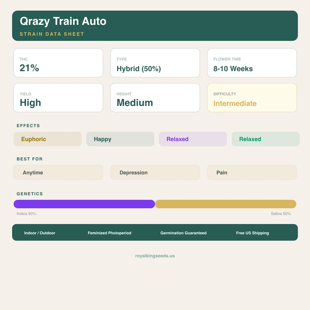 Qrazy Train 50% indica / 50% sativa — fleur avec trichomes visibles