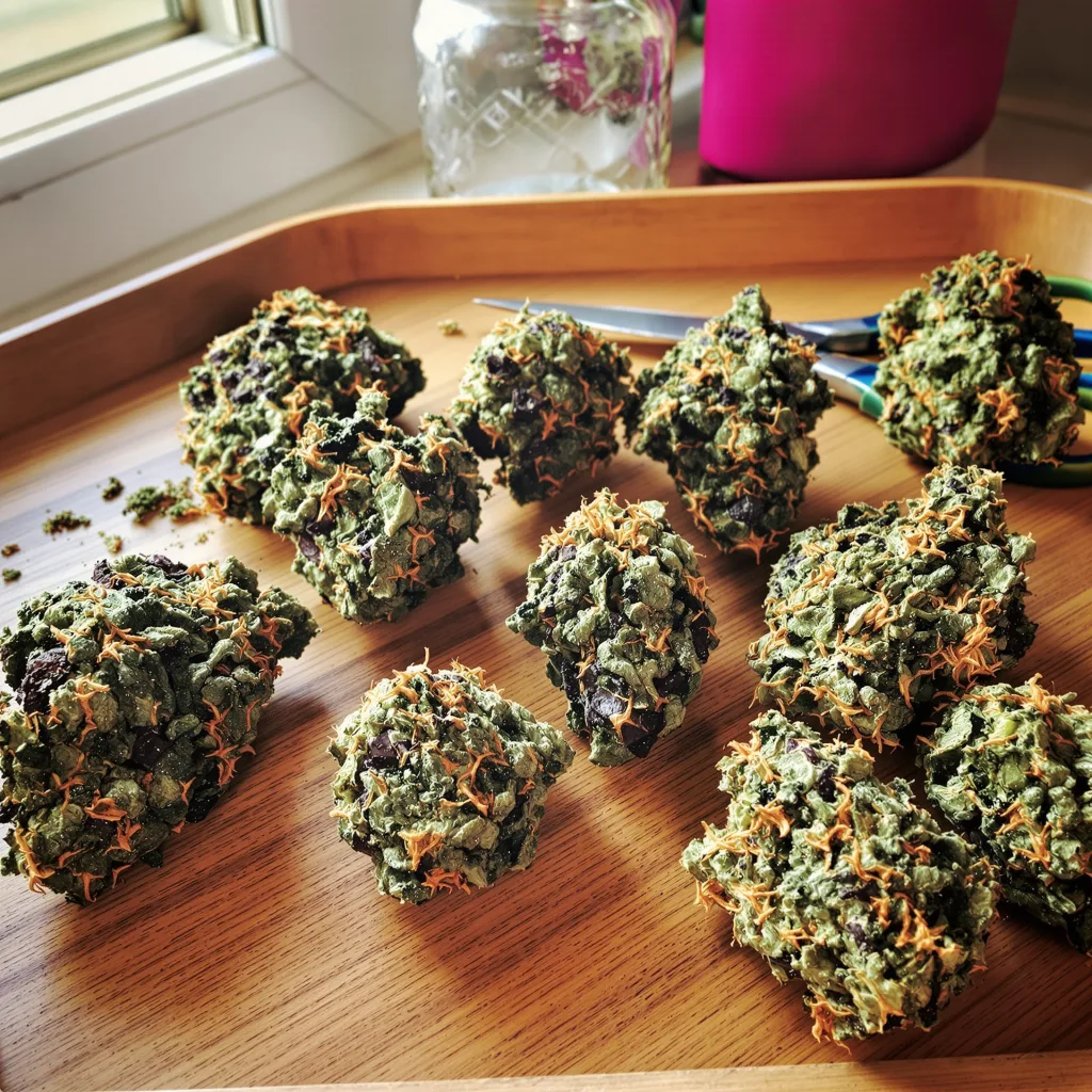 Queso 67% indica / 33% sativa — fleur avec trichomes visibles