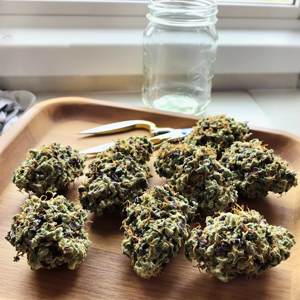 Qush 87% indica / 13% sativa — fleur avec trichomes visibles