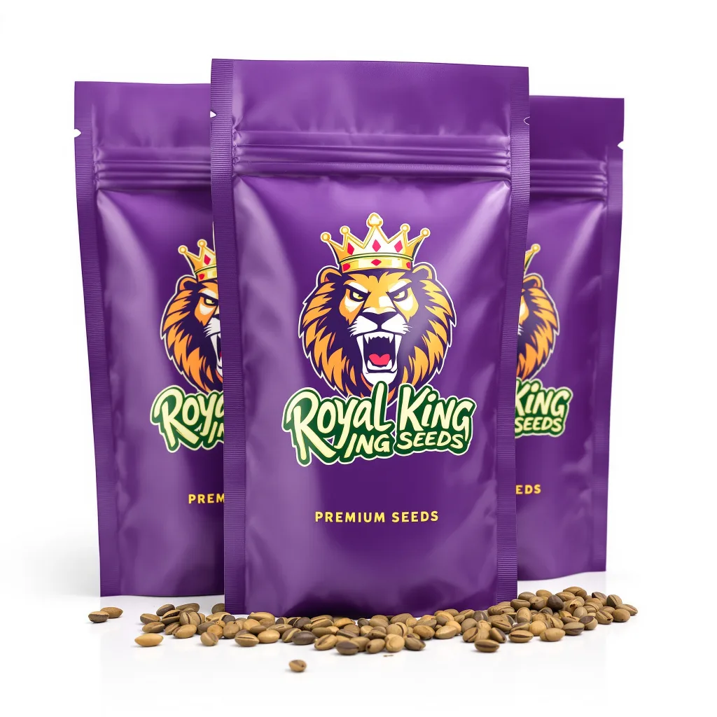 Rainbow 30% indica / 70% sativa — fleur avec trichomes visibles