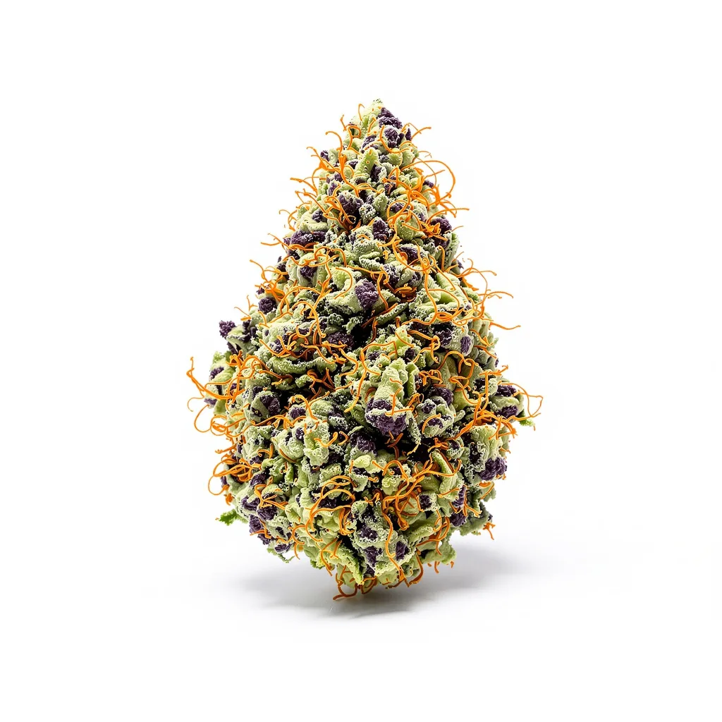 Raisinberry 87% indica / 13% sativa — fleur avec trichomes visibles