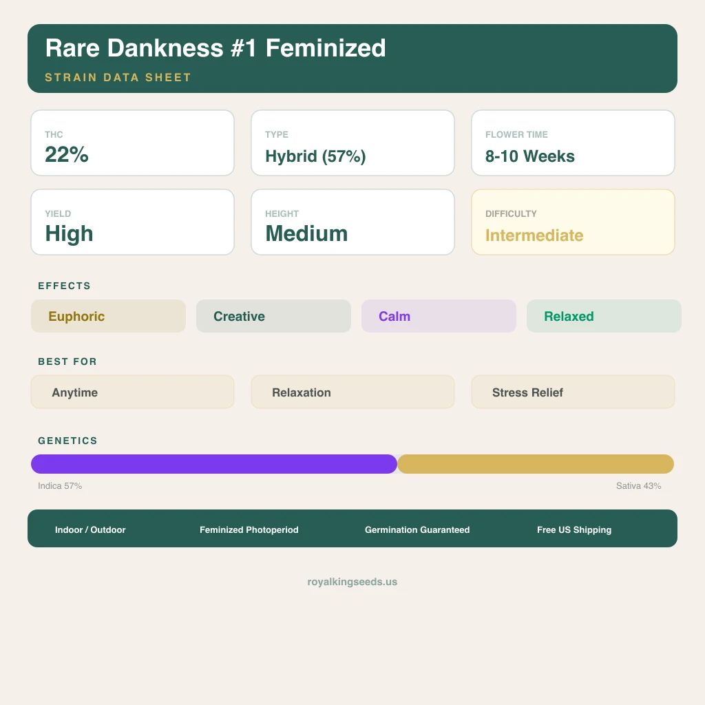 Rare Dankness #1 57% indica / 43% sativa — fleur avec trichomes visibles