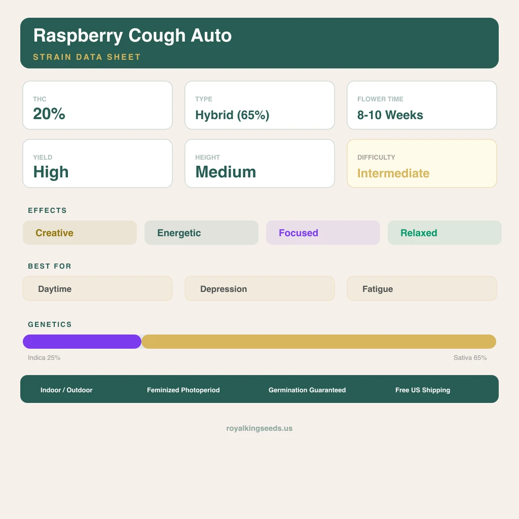 Raspberry Cough 25% indica / 65% sativa — fleur avec trichomes visibles