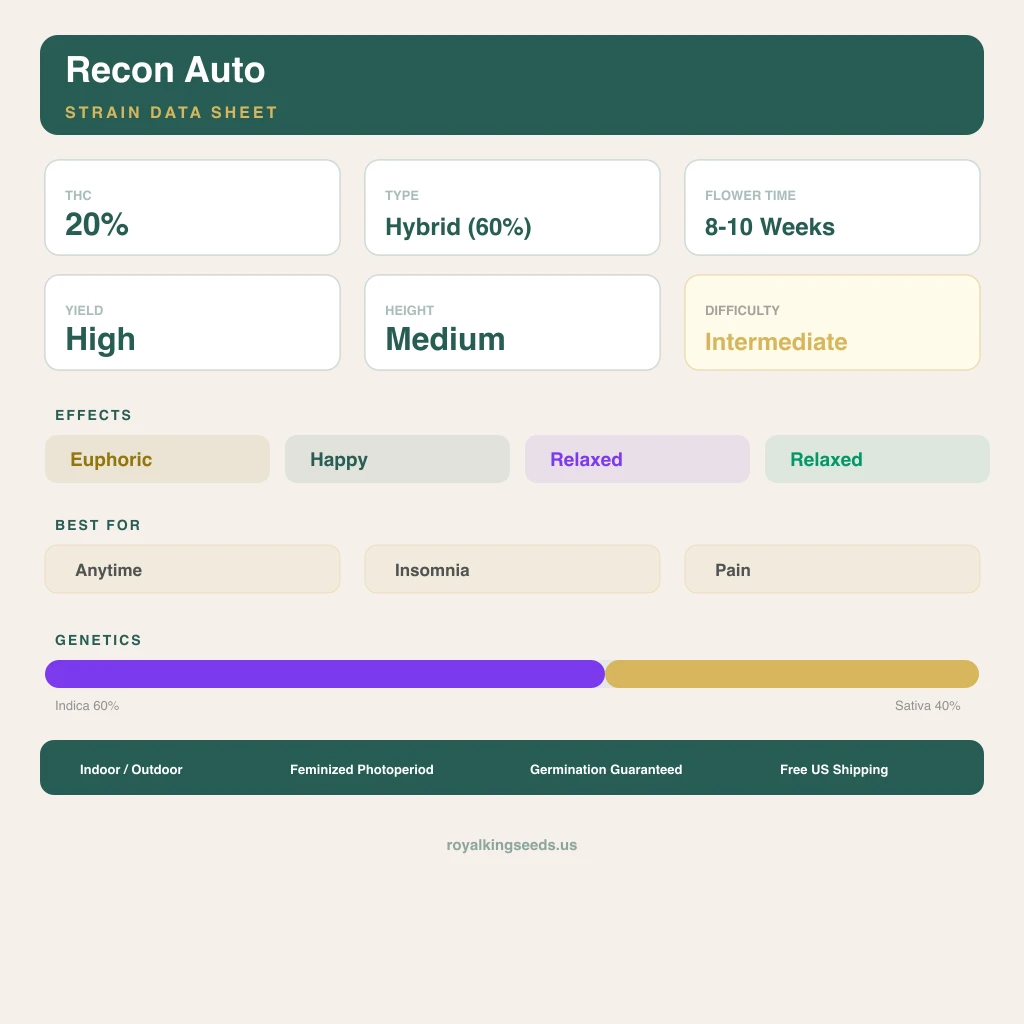 Recon 60% indica / 40% sativa — fleur avec trichomes visibles