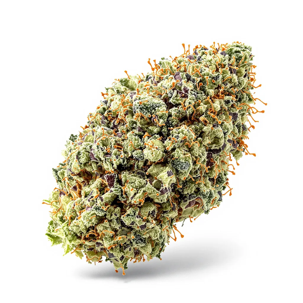 Reign Man 51% indica / 49% sativa — fleur avec trichomes visibles