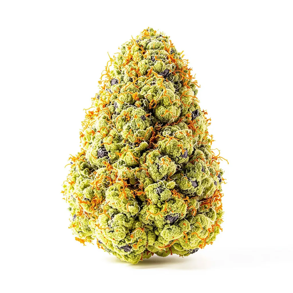 Ringos Gift CBD 50% indica / 50% sativa — fleur avec trichomes visibles