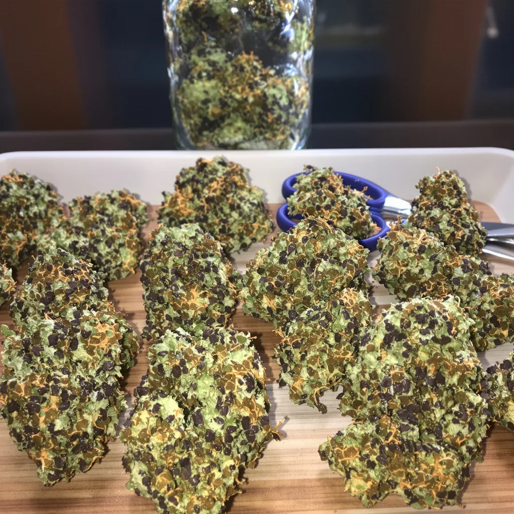 Romulan Haze 68% indica / 32% sativa — fleur avec trichomes visibles