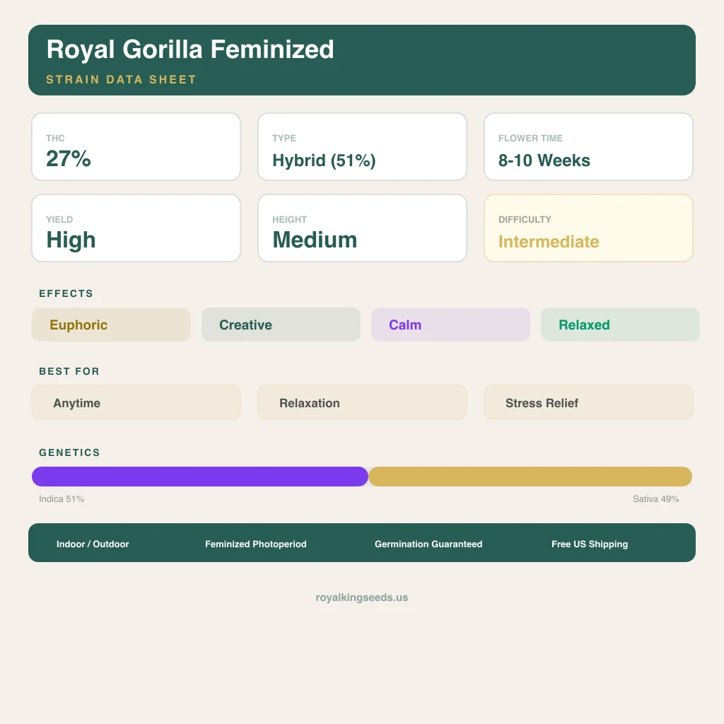 Royal Gorilla 51% indica / 49% sativa — fleur avec trichomes visibles