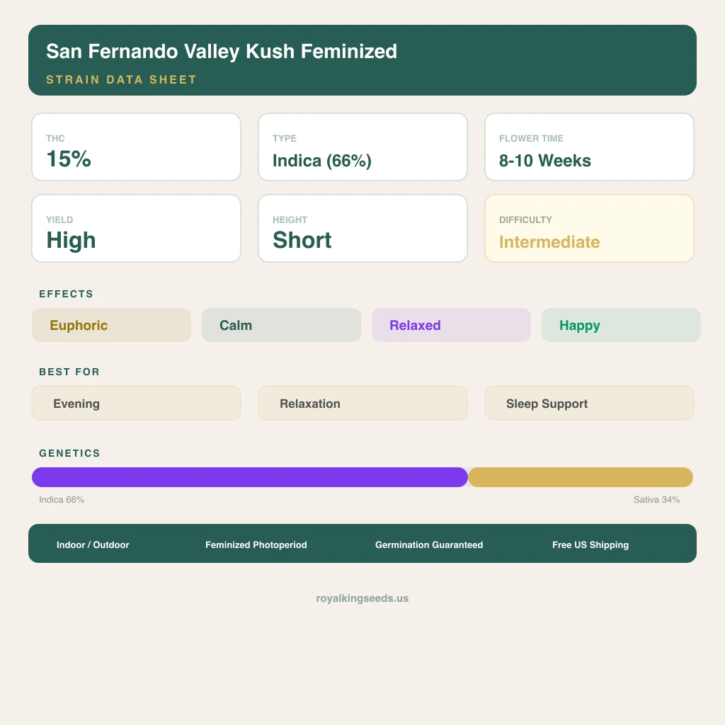 San Fernando Valley Kush 66% indica / 34% sativa — fleur avec trichomes visibles