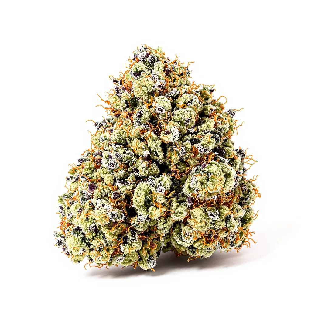 Sasquatch 35% indica / 65% sativa — fleur avec trichomes visibles