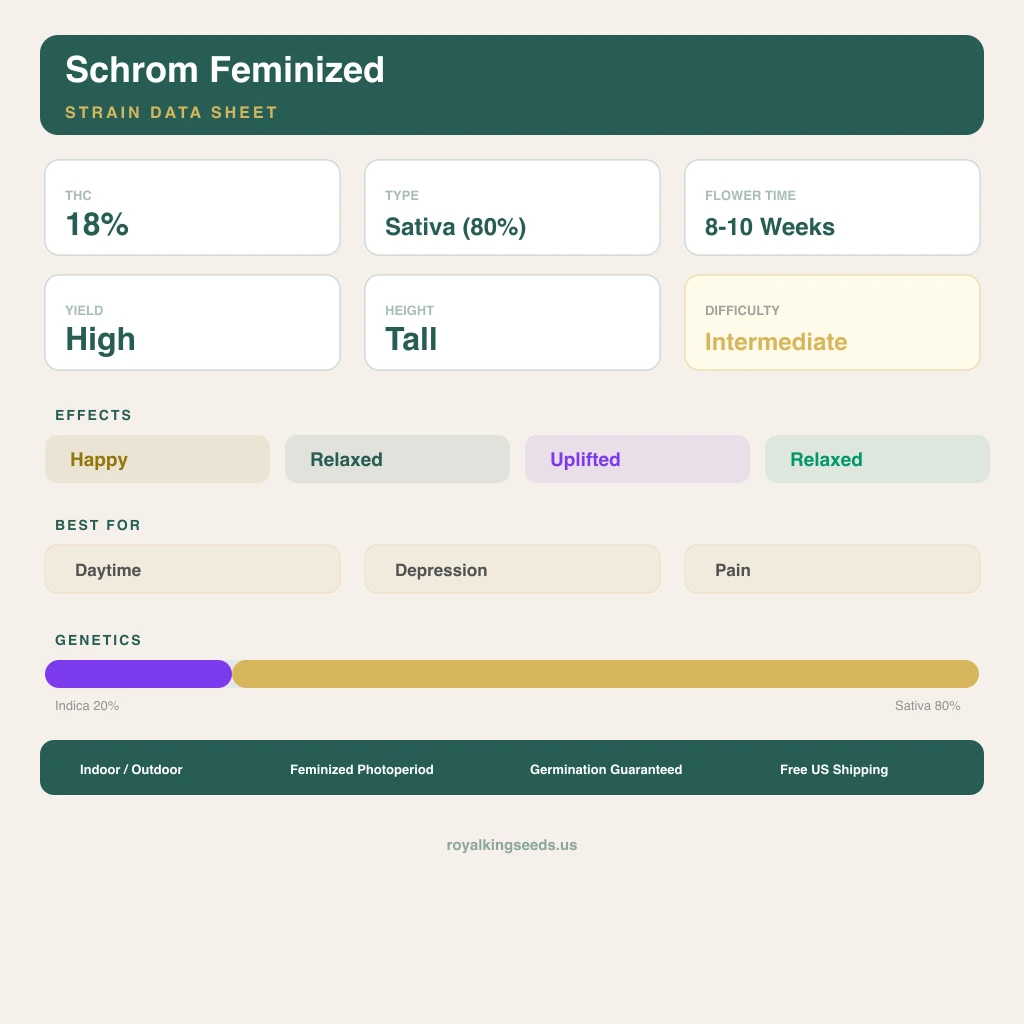 Schrom 20% indica / 80% sativa — fleur avec trichomes visibles