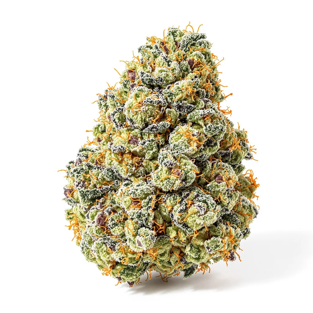 Shiatsu Kush 50% indica / 50% sativa — fleur avec trichomes visibles