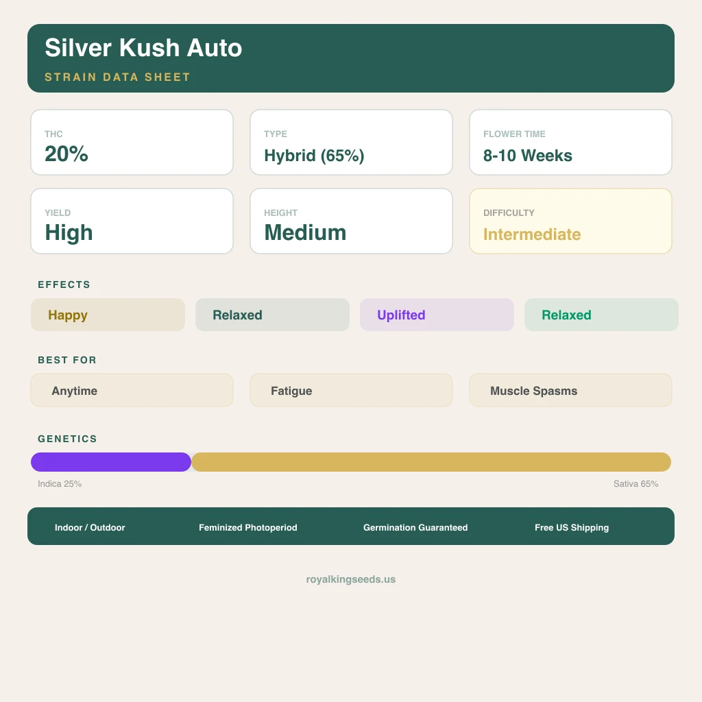 Silver Kush 25% indica / 65% sativa — fleur avec trichomes visibles