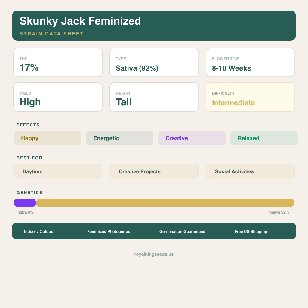 Skunky Jack 8% indica / 92% sativa — fleur avec trichomes visibles