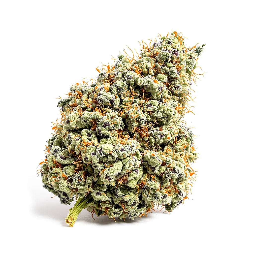 Snow Leopard 44% indica / 56% sativa — fleur avec trichomes visibles