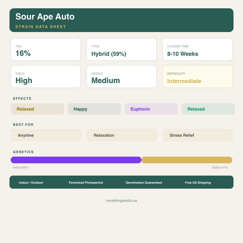 Sour Ape 59% indica / 41% sativa — fleur avec trichomes visibles