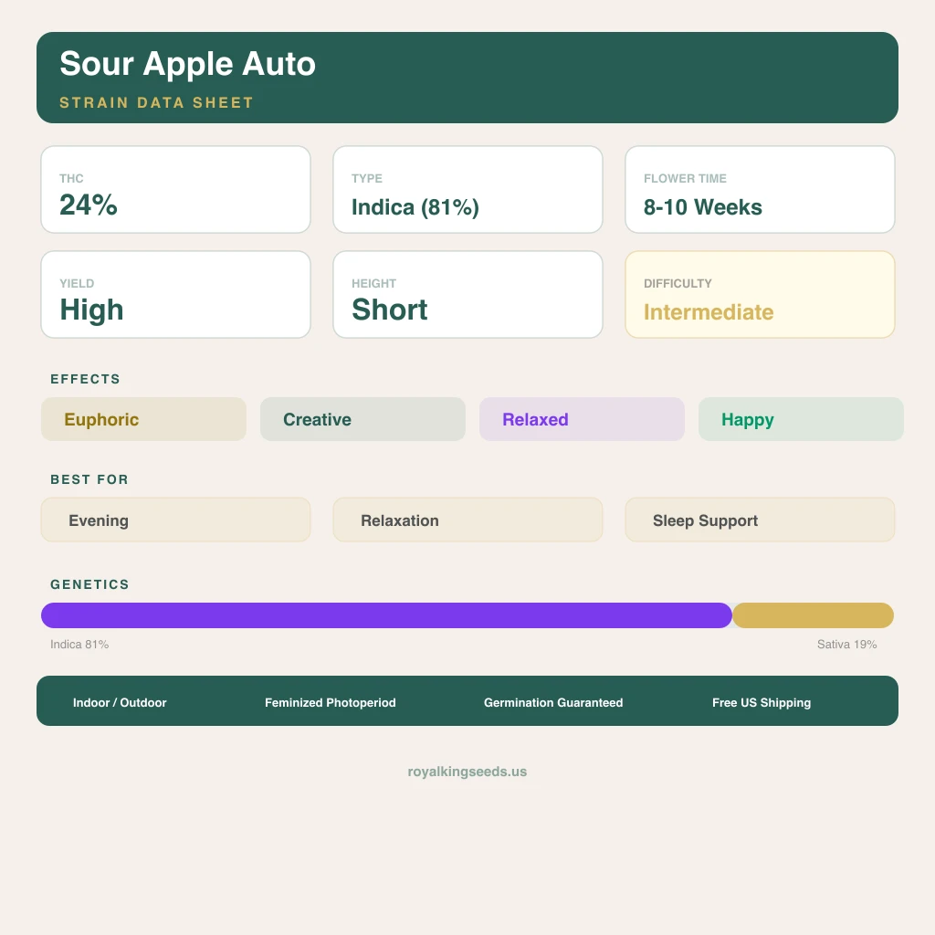 Sour Apple 81% indica / 19% sativa — fleur avec trichomes visibles