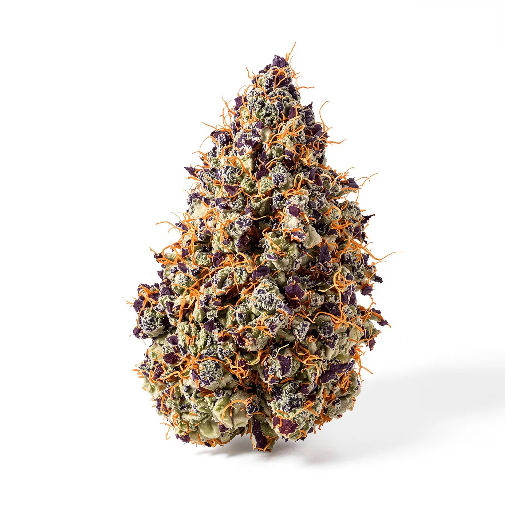 Sour Bubble 81% indica / 19% sativa — fleur avec trichomes visibles