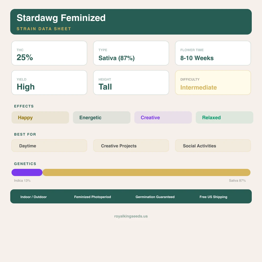 Stardawg 13% indica / 87% sativa — fleur avec trichomes visibles