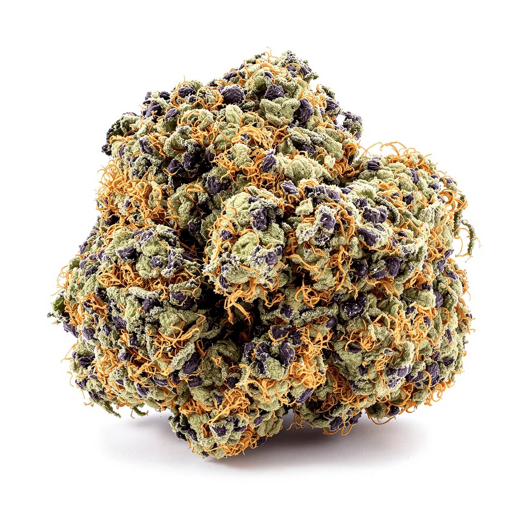 Sugar Black Rose 88% indica / 12% sativa — fleur avec trichomes visibles