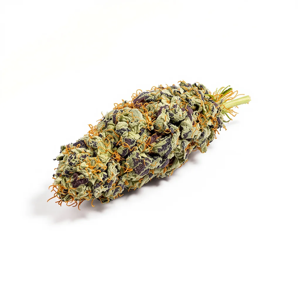 Super Skunk 70% indica / 30% sativa — fleur avec trichomes visibles