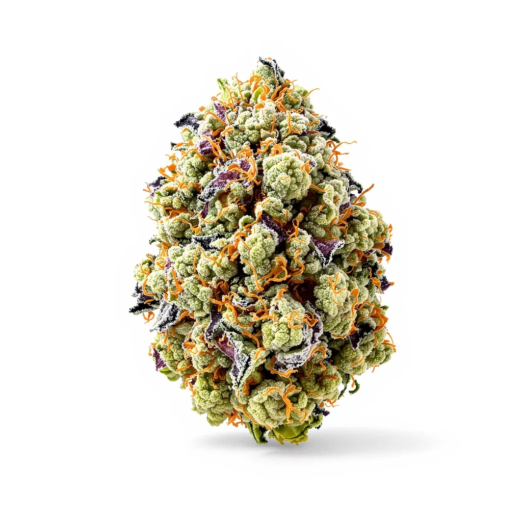 Super Snow Dog 54% indica / 46% sativa — fleur avec trichomes visibles