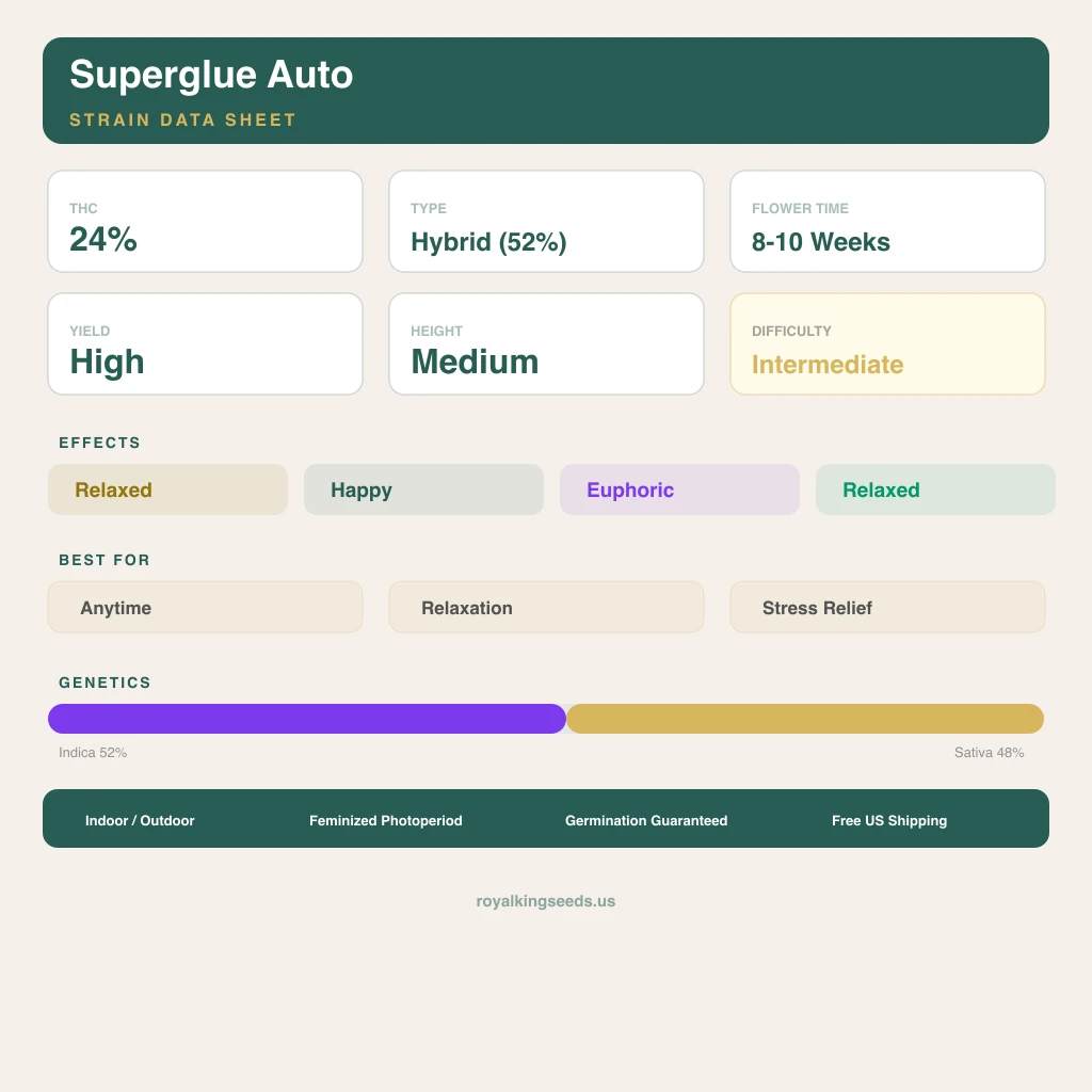 Superglue 52% indica / 48% sativa — fleur avec trichomes visibles
