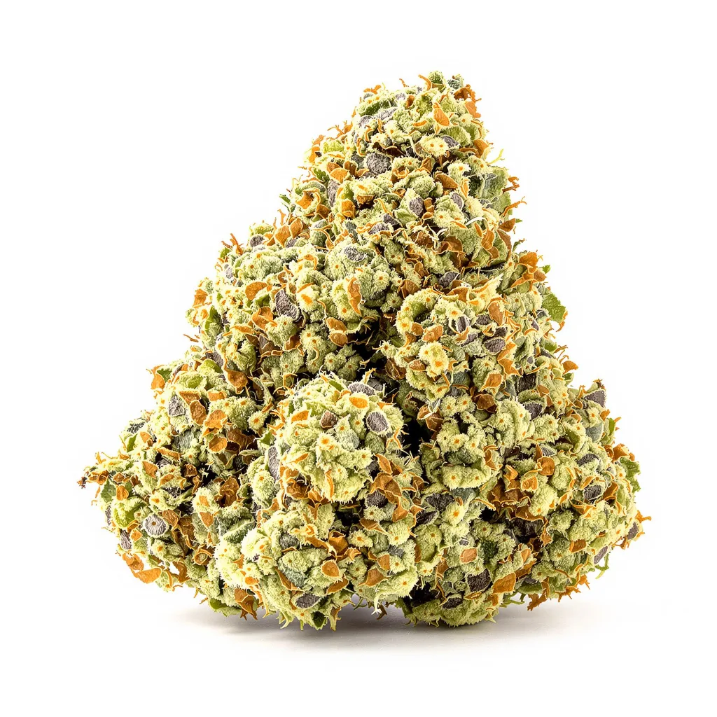 Suzy Q CBD 50% indica / 50% sativa — fleur avec trichomes visibles