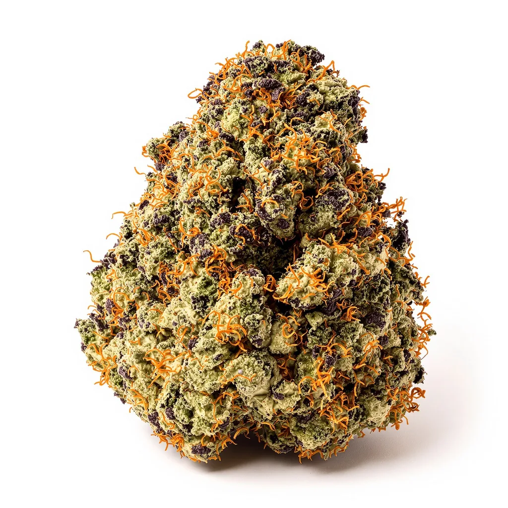Swiss 72% indica / 28% sativa — fleur avec trichomes visibles