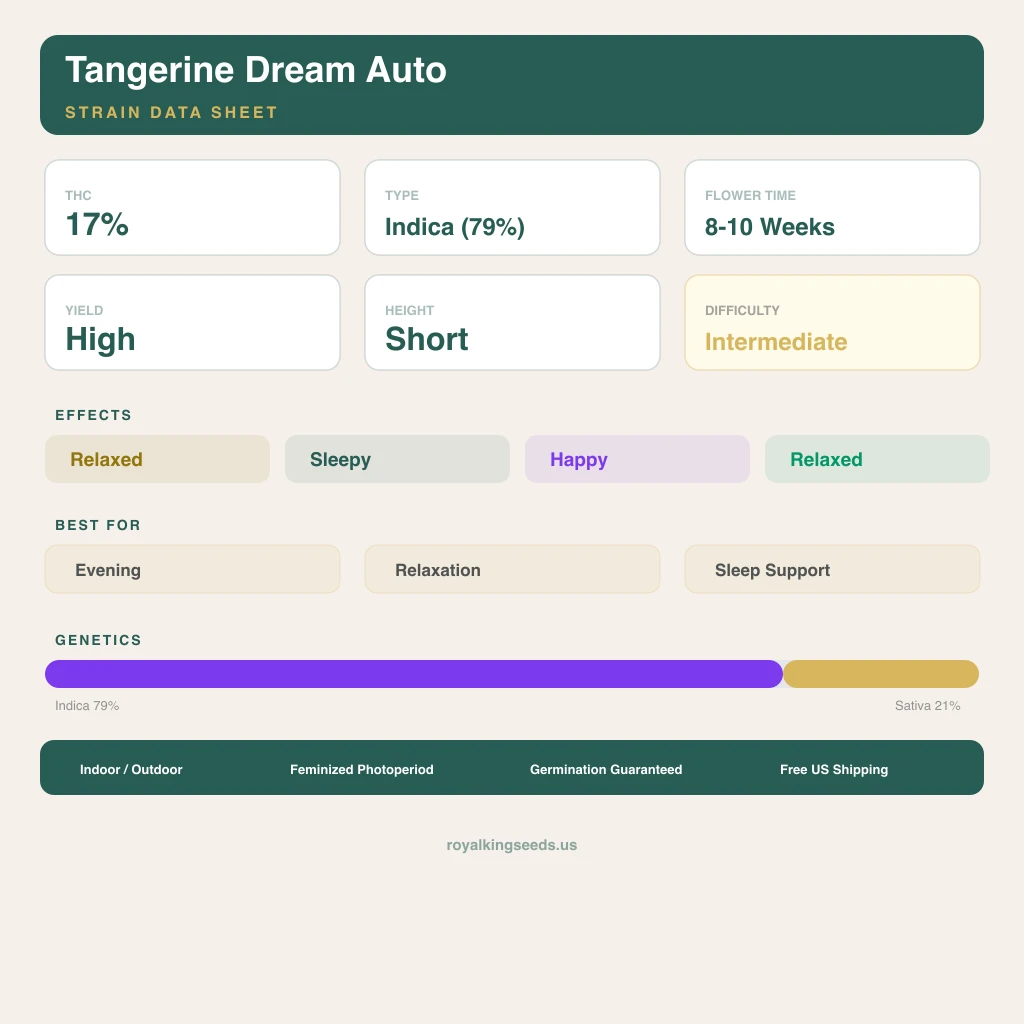 Tangerine Dream 79% indica / 21% sativa — fleur avec trichomes visibles